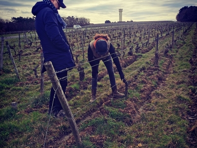 Périple dans les vignes de la Vallée de la Loire